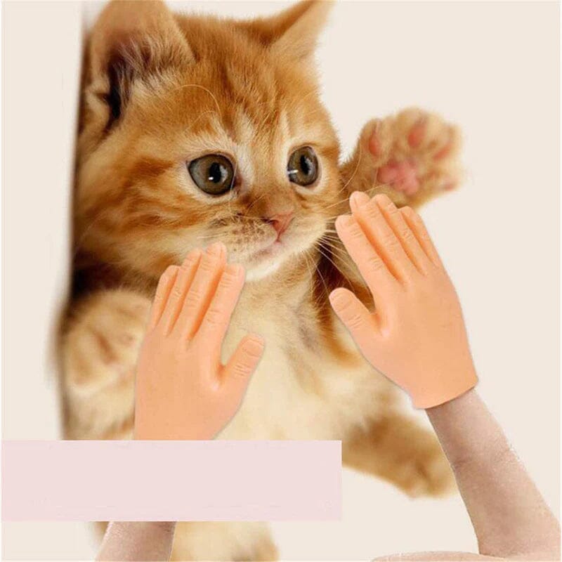 Funny Cat Massage Gloves