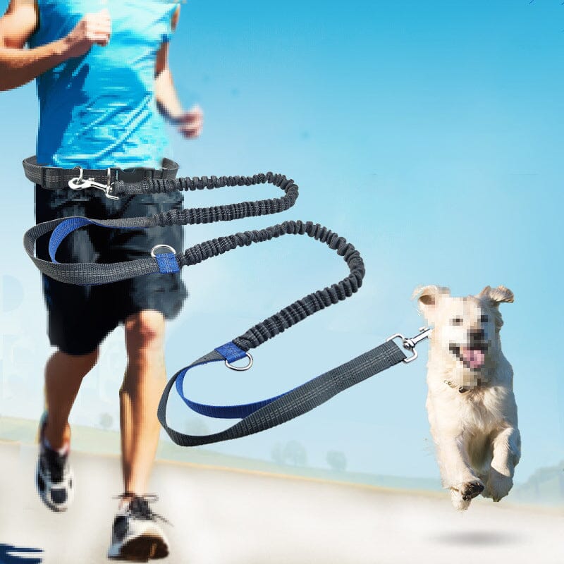 Hands Free Dog Leash