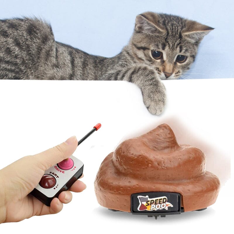 Remote Control Poop Car Toy