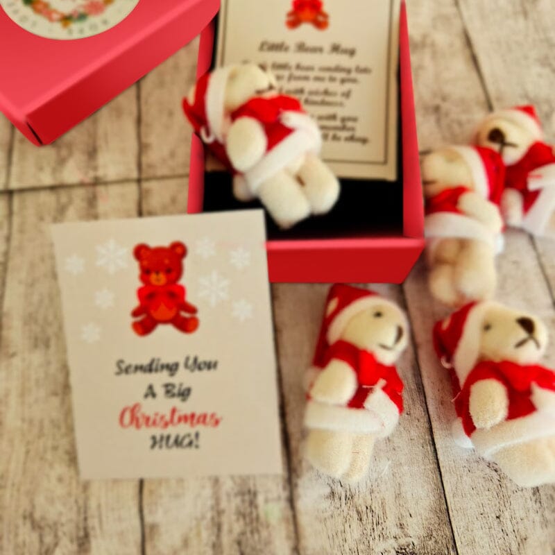 Teddy Bear Christmas Gift