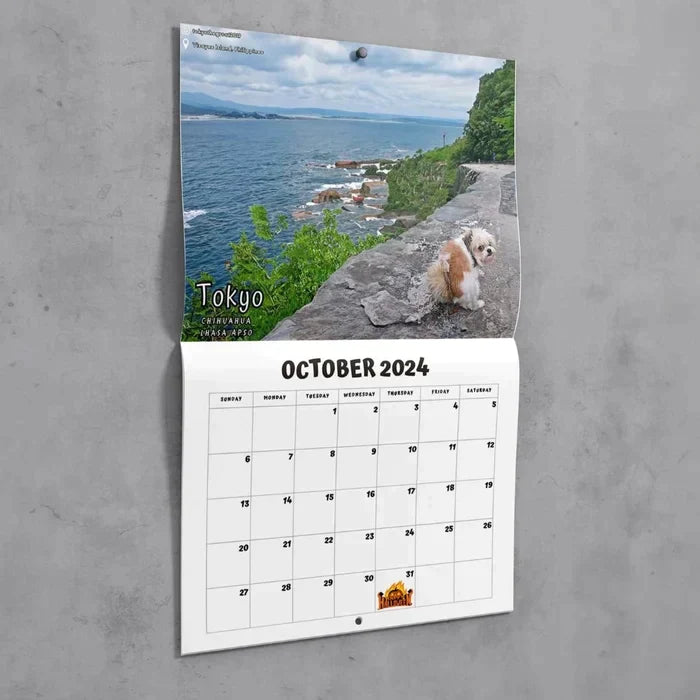 😆Funniest calendar of the century|"Artistic expression" of furry friends